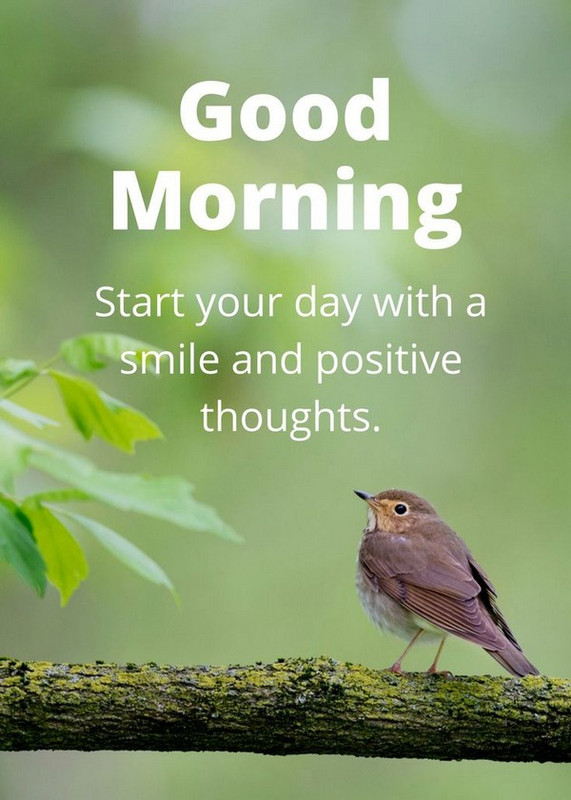 fresh-inspirational-good-morning-quotes