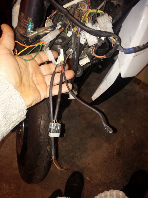CAM02901