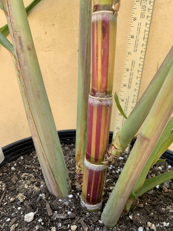 DCF2C8F6-B5FC-4D1D-BBA9-3A48F8C873D4