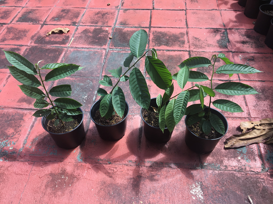 3E85DD7A-027E-4EE6-BF6F-CDBC49BA3CBA