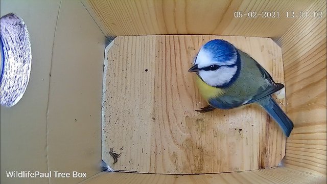 C3ECF2C2-5A60-425D-A9D4-9B449452614C