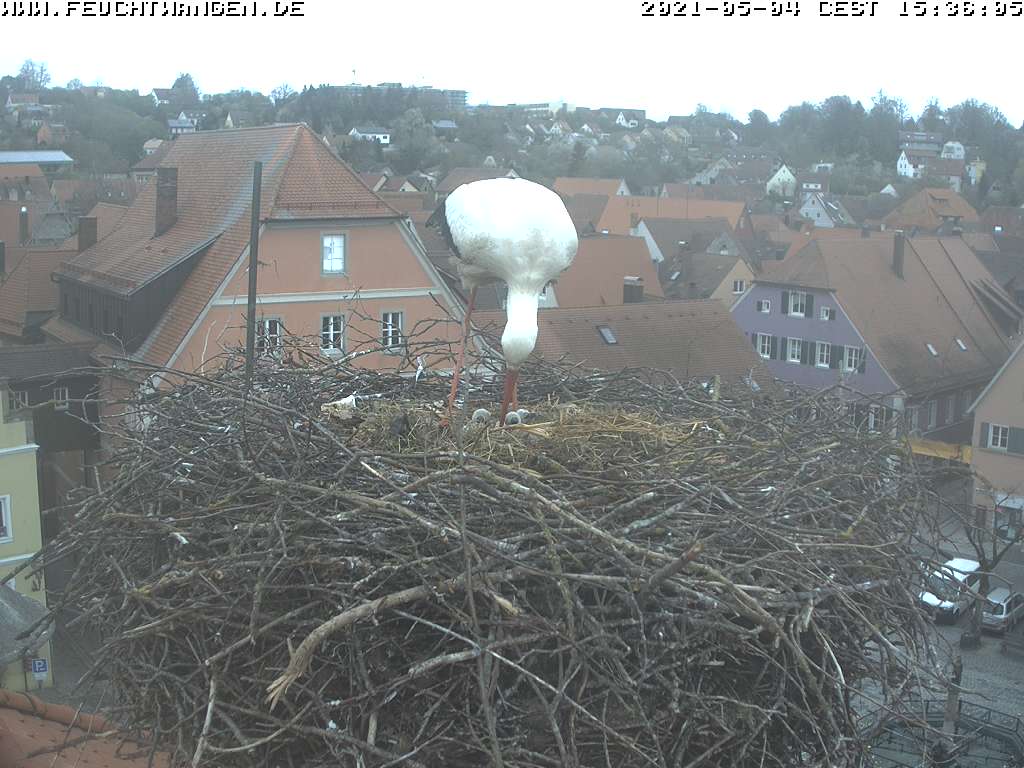 2021-05-04-1536-3Kü