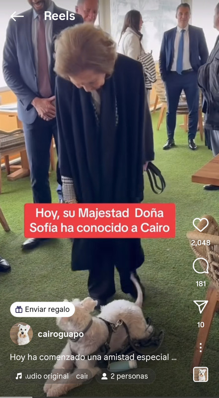 Screenshot_20240329_231414_Instagram