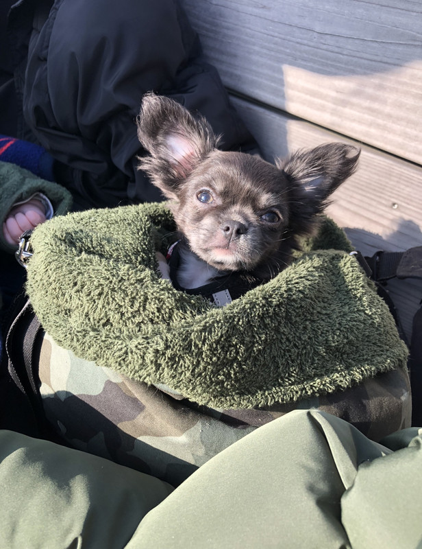 9DDC85F5-7509-49F4-B83B-5DCFB75646CE