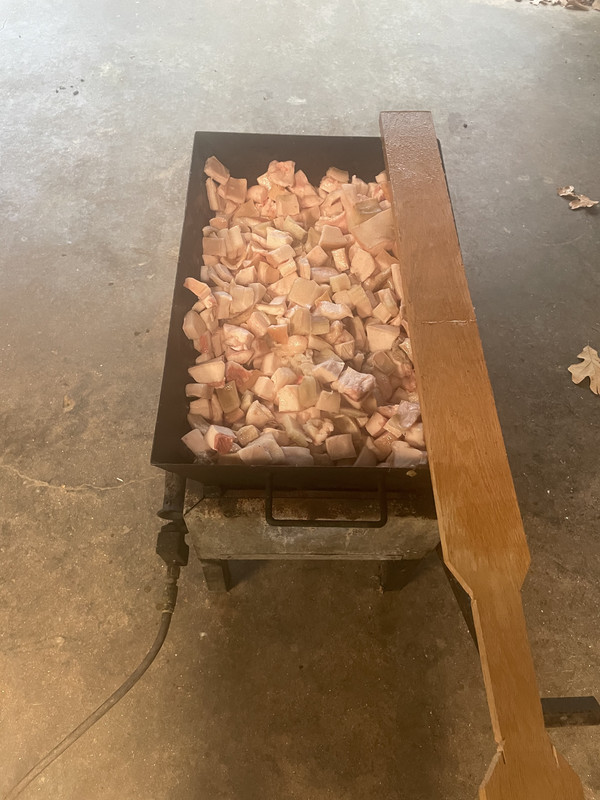 Butchering Hogs 24hourcampfire