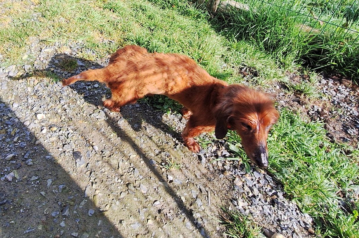 [Image: 20240314-105321.jpg]