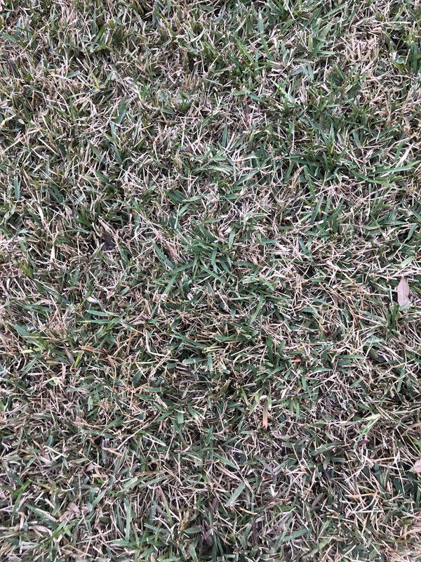 7376CC0F-8A88-49A0-8E41-A077FA98EBF0