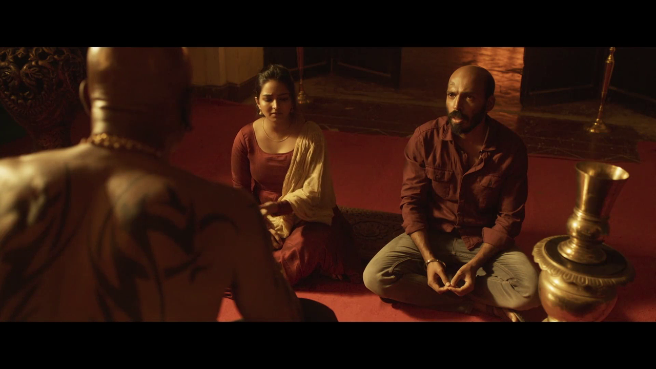 vlcsnap 2026 02 07 21h25m03s926