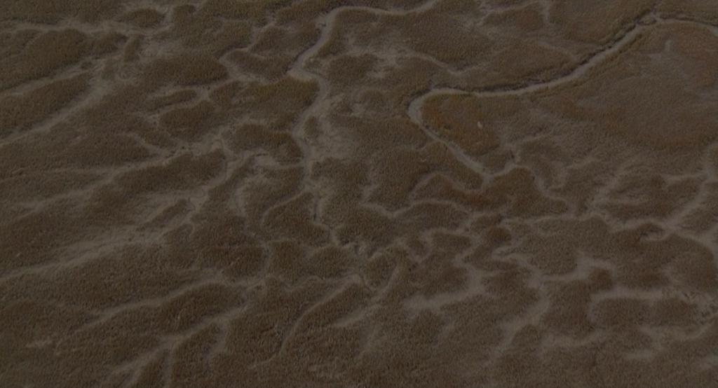 vlcsnap-2023-02-08-08h51m32s839.png