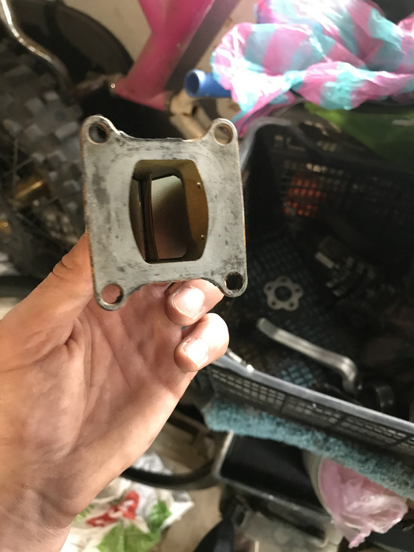 F0F423DE-DB69-403B-AB91-51EACF5A95BB