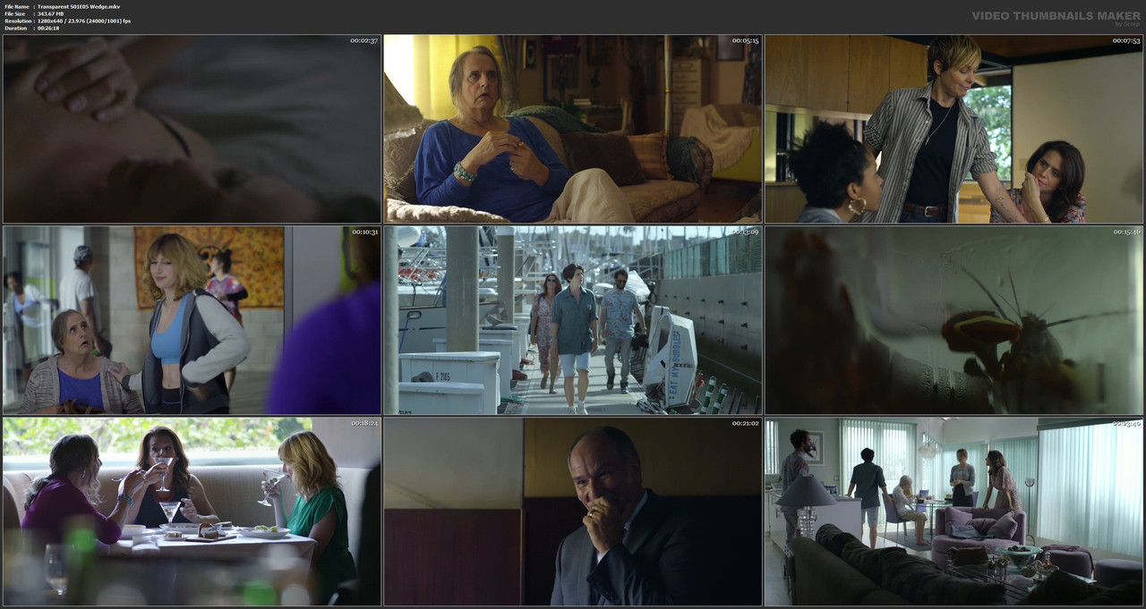 Transparent S01E05 Wedge.mkv