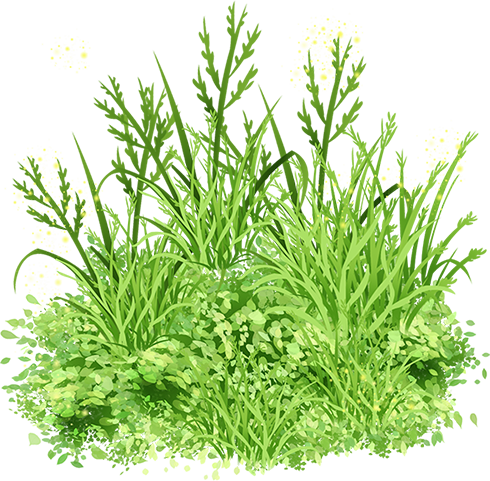 KBK_PrettyRabbit (81)