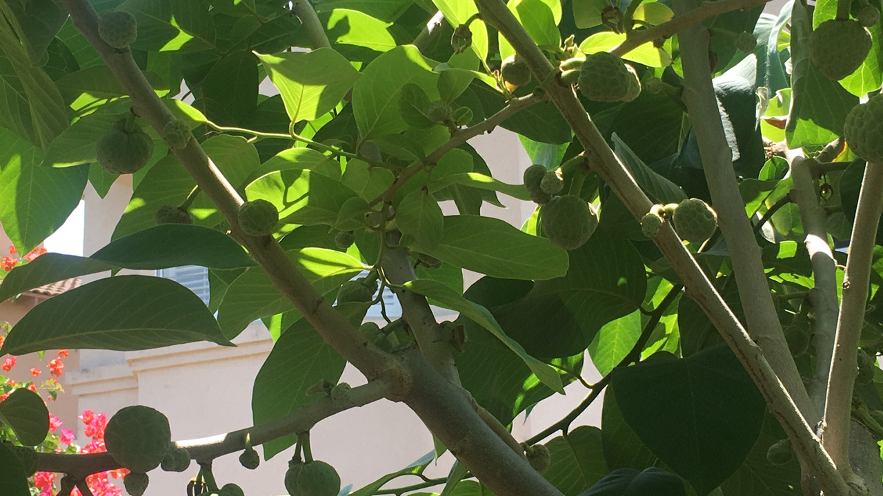 26F7D6C2-B32A-4971-B03C-E798EB58A1FB