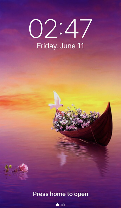 Skype_Picture_2021_06_10T22_19_57_406Z