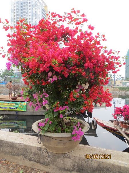 [Image: IMG-7655.jpg]