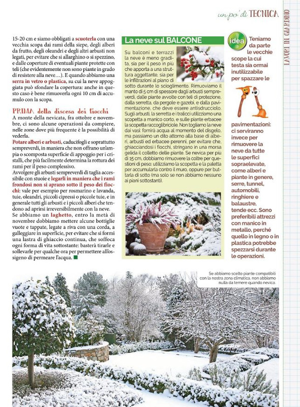 Pol Ver Gen-Feb 2022 (12)