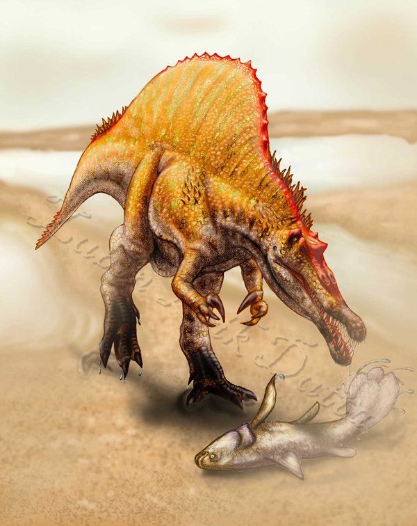 f8704cc77f0ad32fdbe05fd3deb250dd--dinosaur-art-paleo