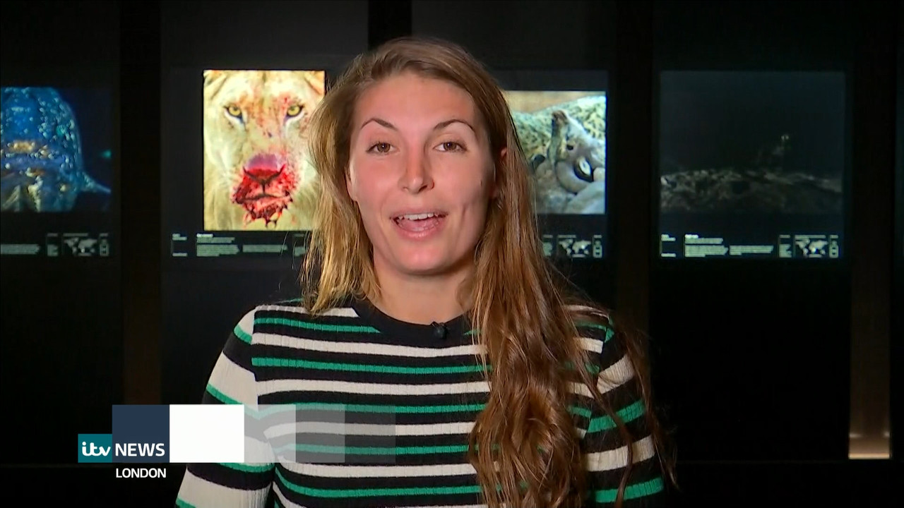 ITV News London_20211013_18001830.ts_snapshot_19.42.765