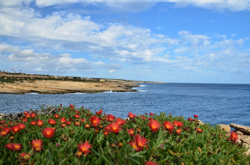 MARSAXLOKK-25-11-2018 - Malta y sus pueblos-2018 (35)