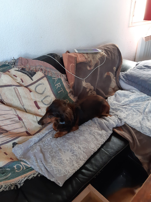 [Image: 20200826-164654.jpg]