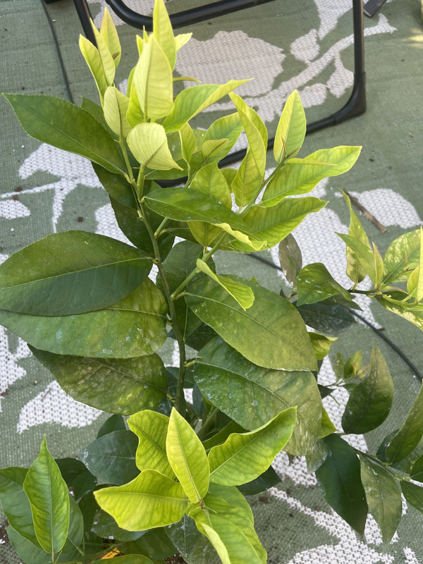 BDBBDBF4-7692-484F-AF61-77D457228CFA