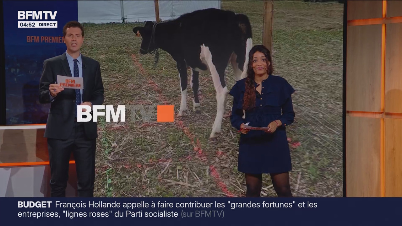 BFM Première Pré-matinale (BFMTV)_2025_09_15_03_25_70.ts_snapshot_00.28.42.437