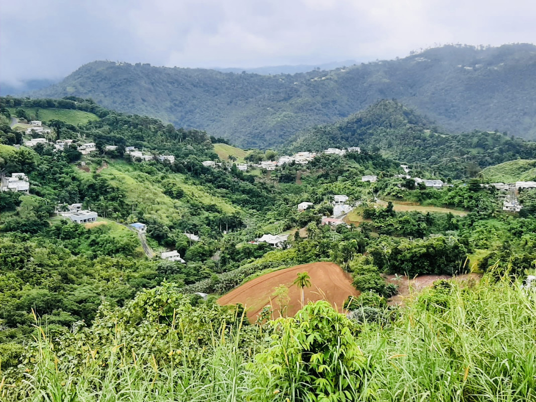 279EB5E9-9FB0-4CD1-BE0D-E95D8B938BD8