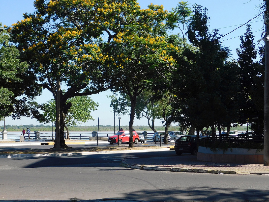 DSCN0858.jpg