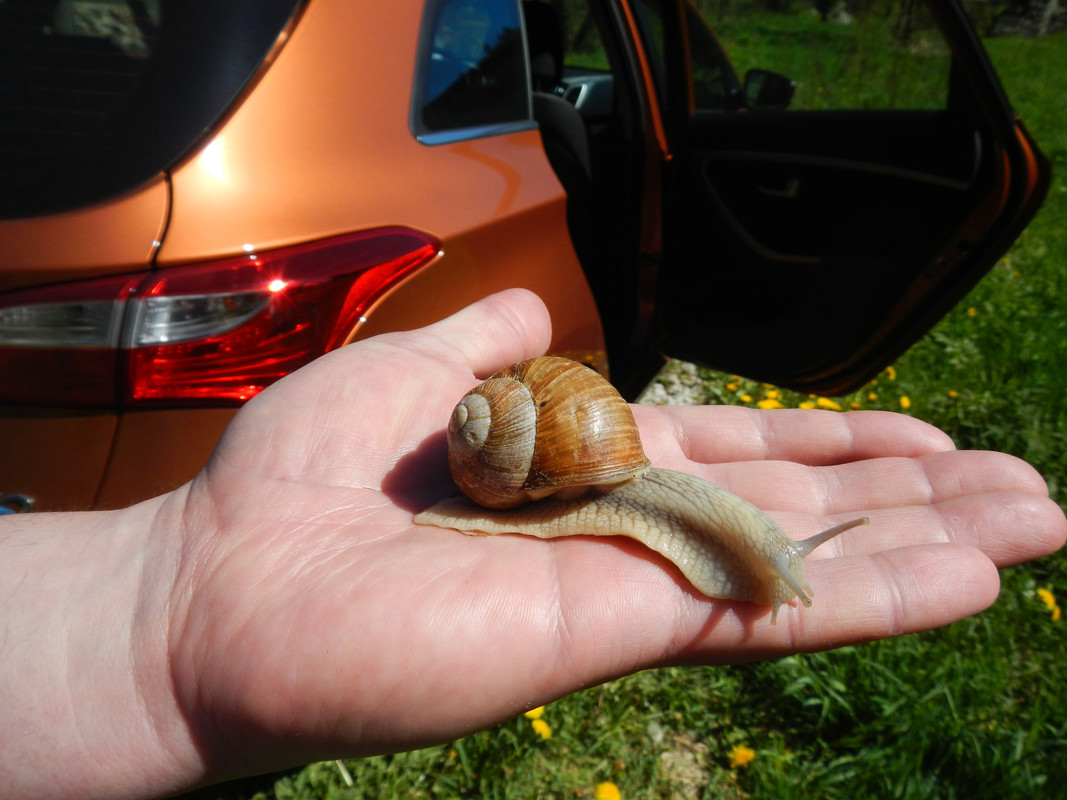 Копировать DSCN4177