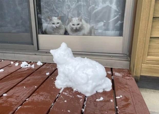 klyker-picdump-11-28-2025-6.jpg