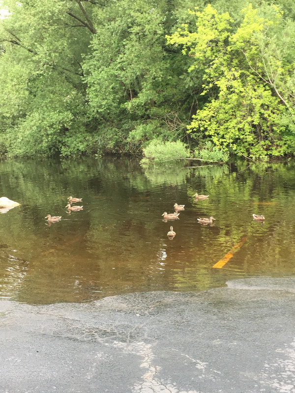 049F53D5-2840-47B3-BCFD-A6E233F19C8D