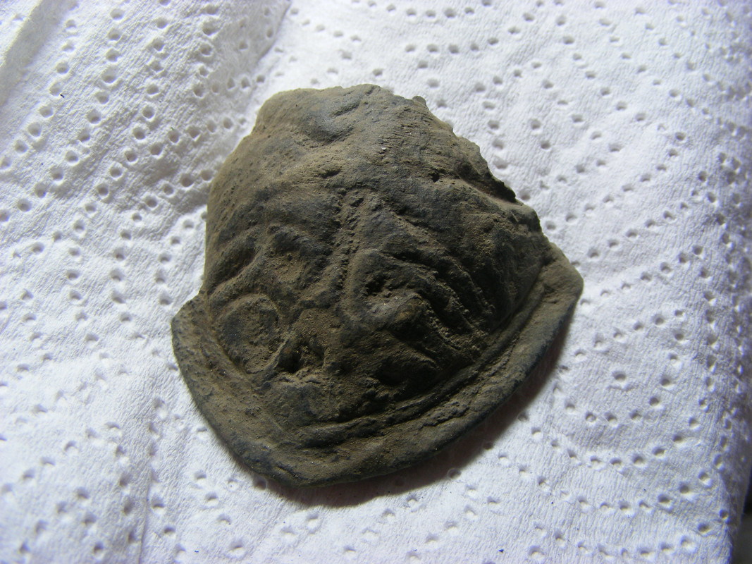 DSCF4036
