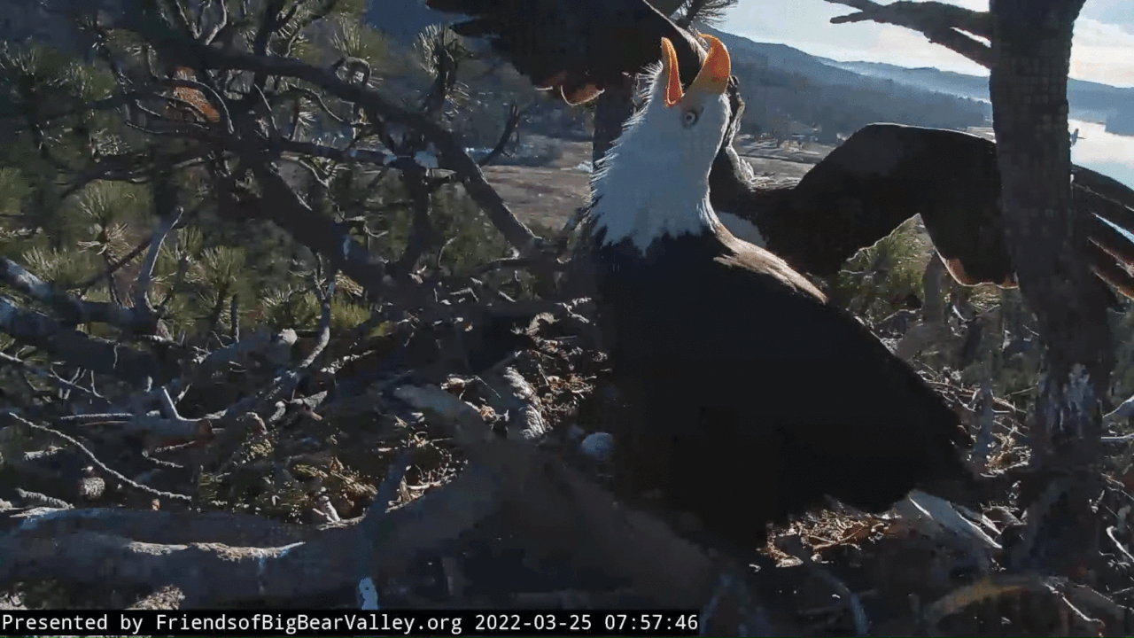 Webp.net-gifmaker (5)