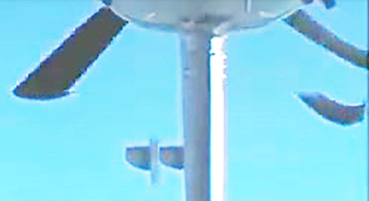 1260.jpg