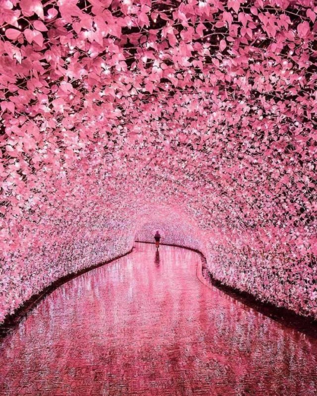 Fascinating-7