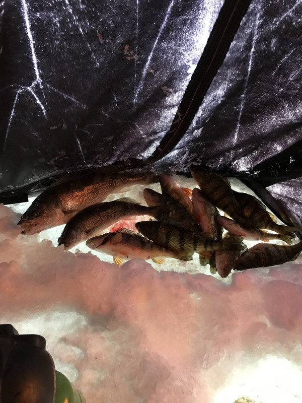 44CAF27B-5CA7-4BB0-AC20-6F0B98340BF9