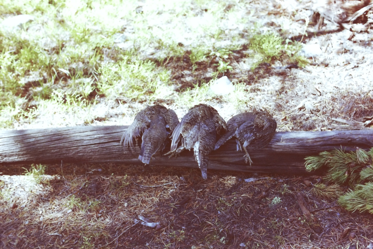 Seven Lakes 60