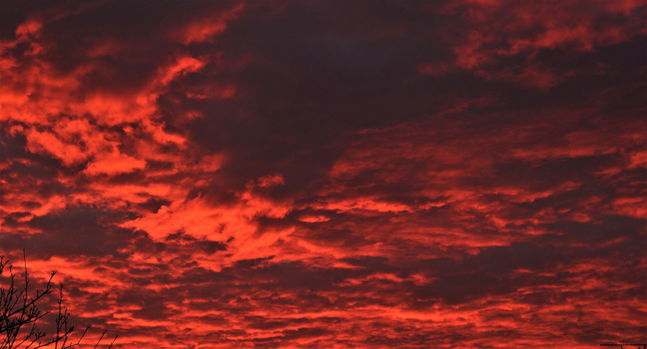 sky-4727812_1920  David Reed Pixabay