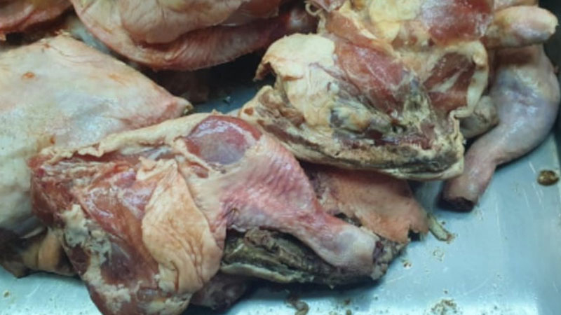 Rotten-Meat-sm