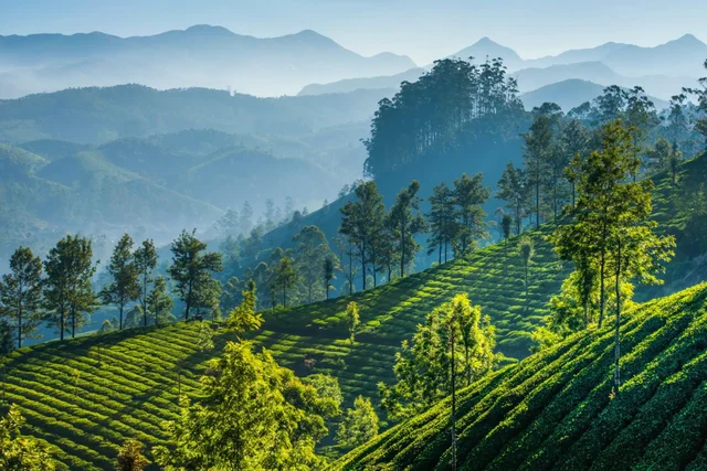 Kerela hill station and backwater