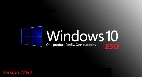 Windows 10 22H2 X64 Pro 3in1 OEM ESD Build 19045.2846 English Preactivated April 2023