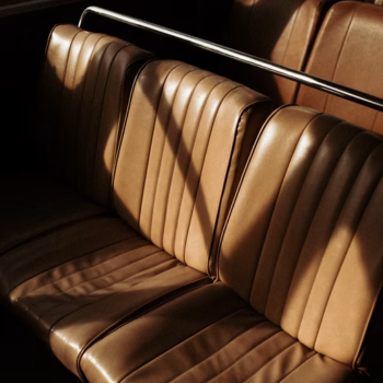 C3 - ALPHA LEATHER seat cover