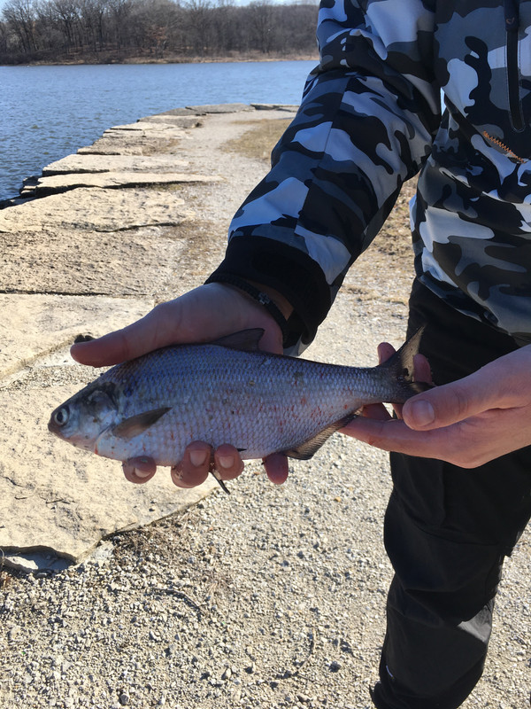 9BC81A22-7DFD-4160-B497-62DAA9241659
