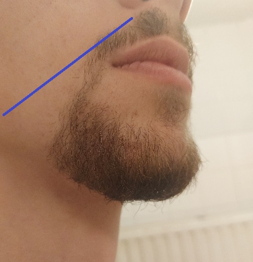 goatee1