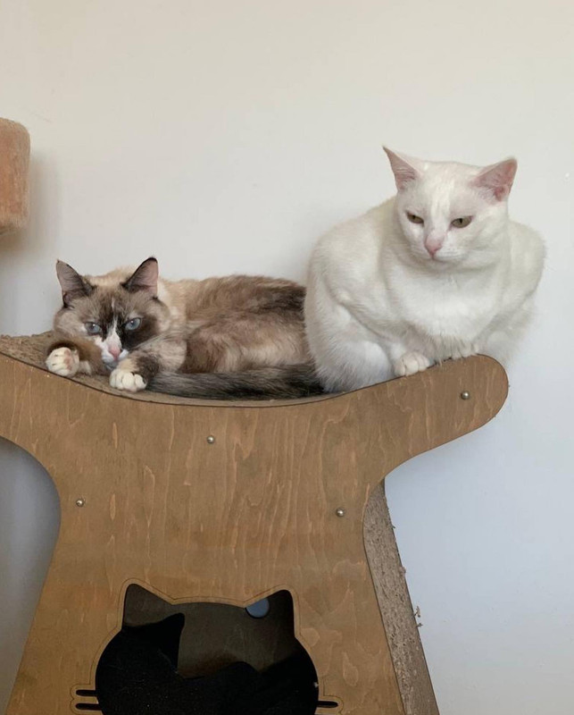 3D1E5AC2-4987-487B-B305-38723D14D59F