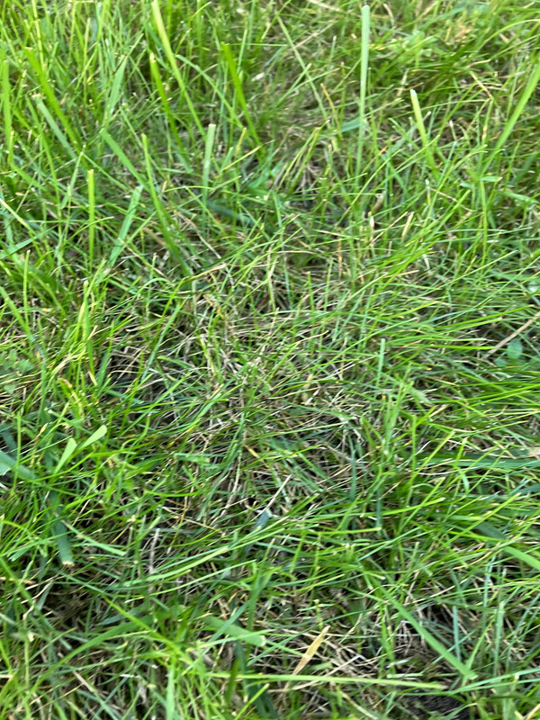 9F2BF900-1B29-495B-88E0-46AA98F6139C