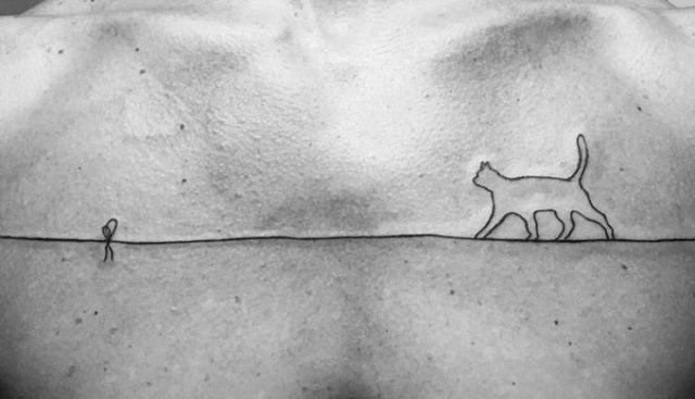 Cats-32