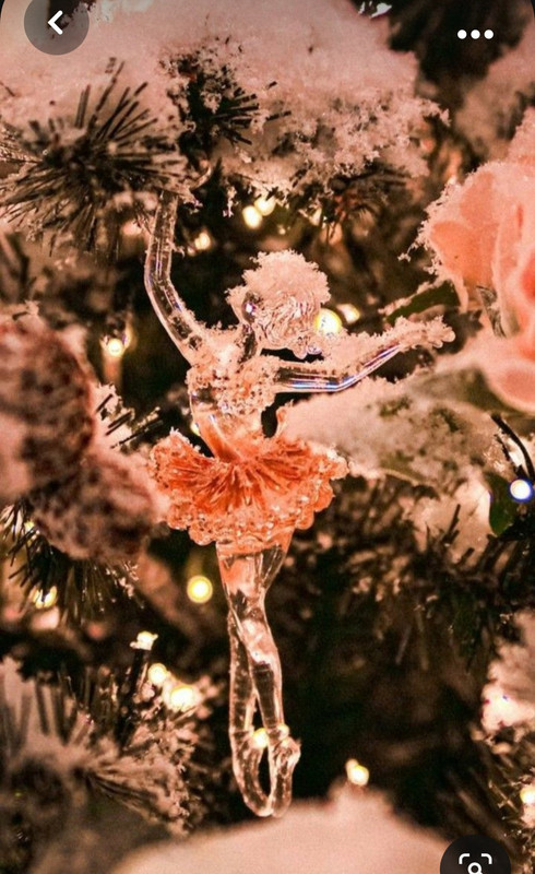 Screenshot_20231102_002624_Pinterest