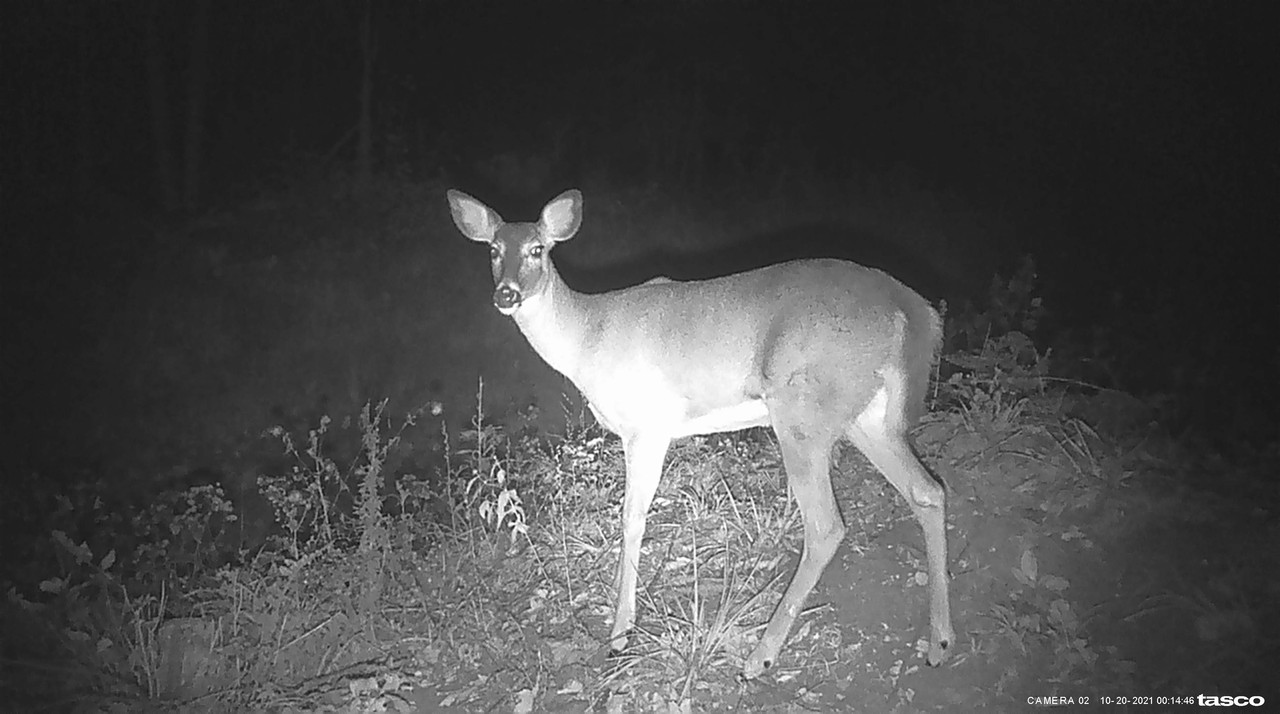 BB21BD72-CB73-4D7D-80B8-61EA03E663CE