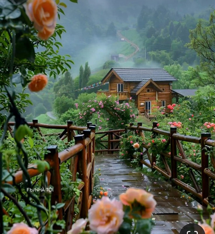 Screenshot_20240521_195507_Pinterest